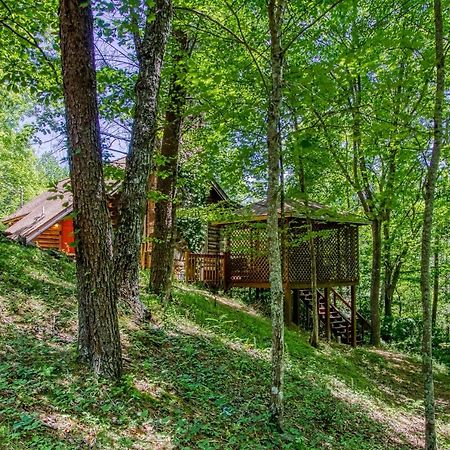 Very Private, Real Log Cabin With Hot Tub! سيفيرفيل المظهر الخارجي الصورة