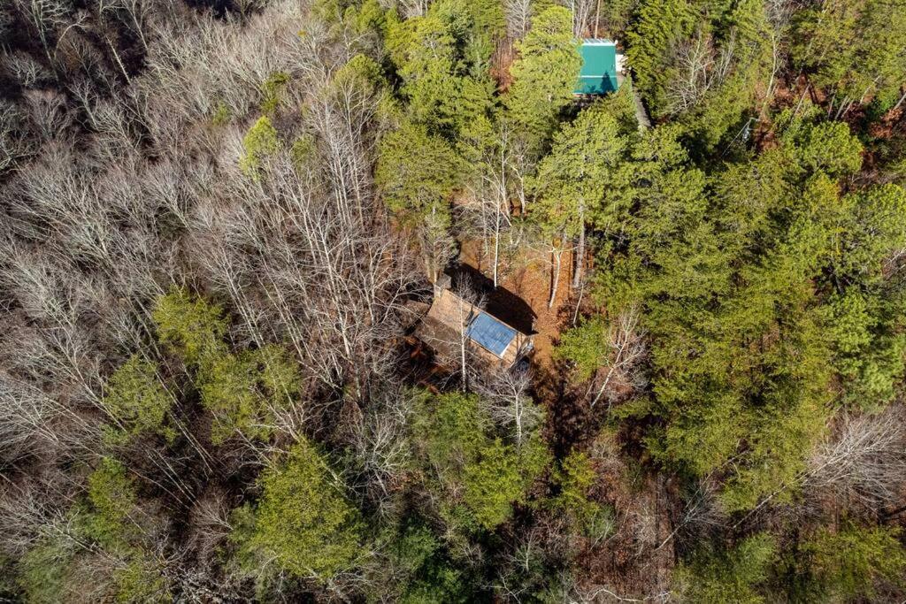 Very Private, Real Log Cabin With Hot Tub! سيفيرفيل المظهر الخارجي الصورة