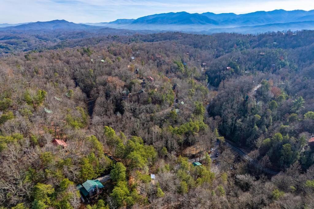 Very Private, Real Log Cabin With Hot Tub! سيفيرفيل المظهر الخارجي الصورة