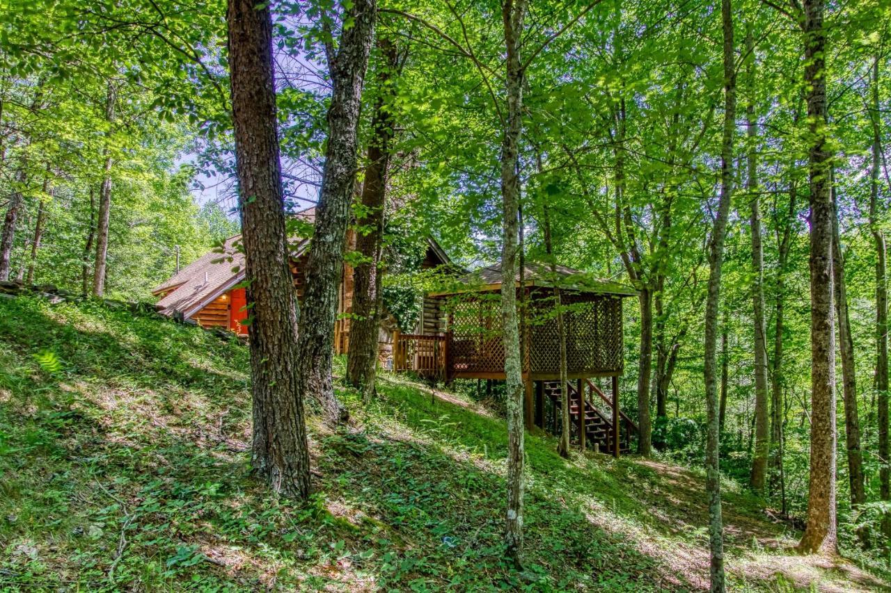 Very Private, Real Log Cabin With Hot Tub! سيفيرفيل المظهر الخارجي الصورة