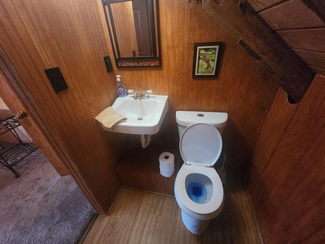 Very Private, Real Log Cabin With Hot Tub! سيفيرفيل المظهر الخارجي الصورة